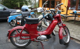 kozi_dechy_2013_44