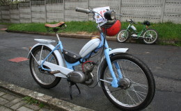 kozi_dechy_2013_47