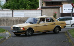ondrejovsky_krpal_2019_021