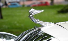 ondrejovsky_krpal_2021_007