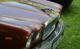 ondrejovsky_krpal_2021_243