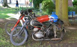 DSC_4205.JPG