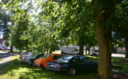 DSC_4206.JPG