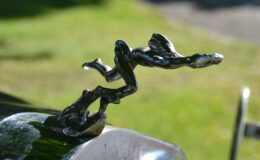 DSC_4213.JPG
