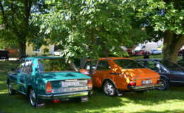 DSC_4223.JPG