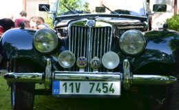 DSC_4267.JPG
