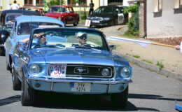 DSC_4385.JPG