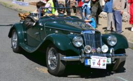 DSC_4408.JPG