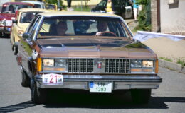 DSC_4447.JPG