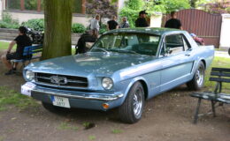 DSC_4512.JPG