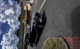 IMG_2072.jpeg