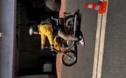 IMG_2085.jpeg