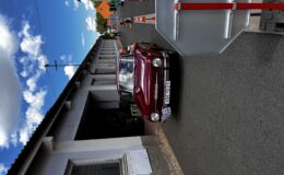 IMG_2120.jpeg