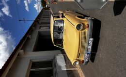 IMG_2125.jpeg