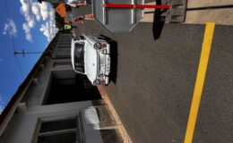 IMG_2126.jpeg