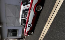 IMG_2133.jpeg