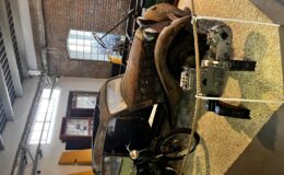 IMG_2162.jpeg