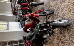 IMG_2165.jpeg